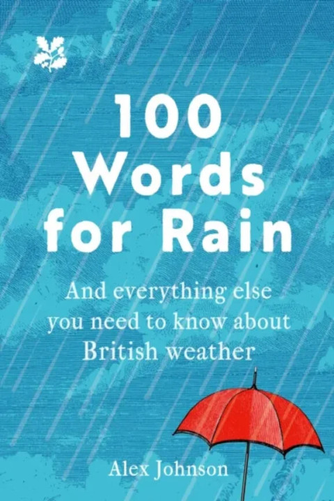 Omslag: 100 Words for Rain