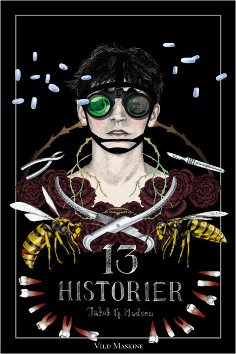 Omslag: 13 HISTORIER