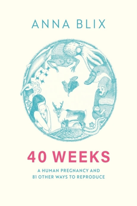 Omslag: 40 Weeks