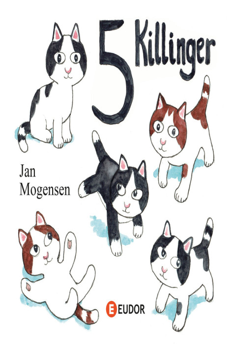 Omslag: 5 killinger