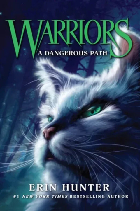 Omslag: A Dangerous Path