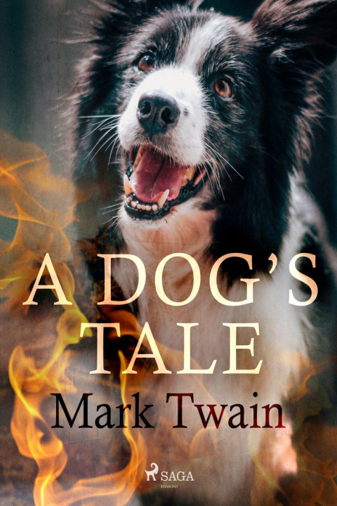 Omslag: A Dog's Tale