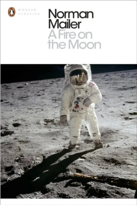 Omslag: A Fire on the Moon
