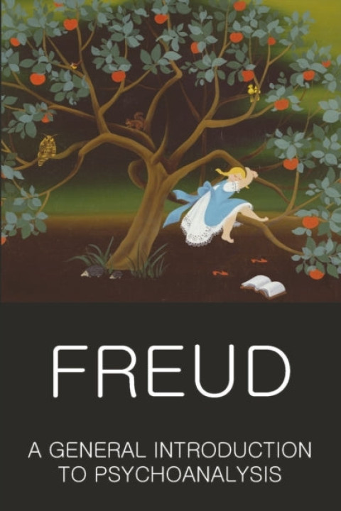 Omslag: A General Introduction to Psychoanalysis