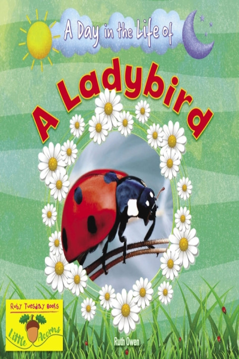 Omslag: A Ladybird