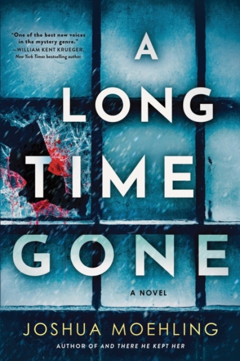Omslag: A Long Time Gone