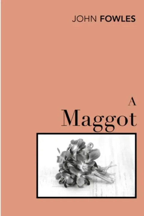 Omslag: A Maggot