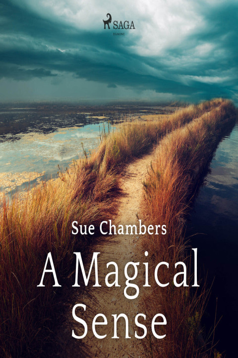 Omslag: A Magical Sense