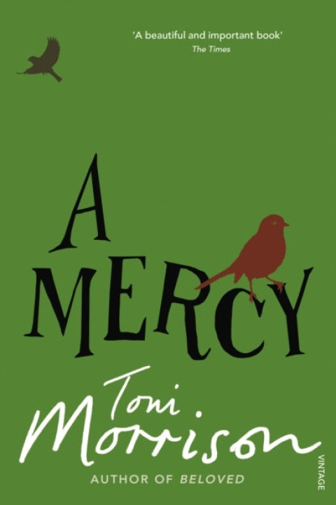 Omslag: A Mercy