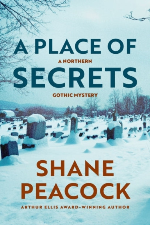 Omslag: A Place of Secrets
