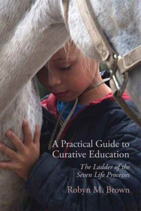 Omslag: A Practical Guide to Curative Education