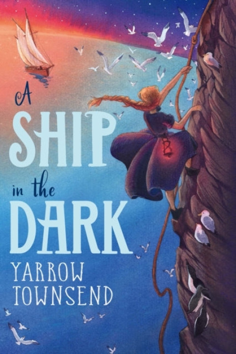 Omslag: A Ship In The Dark