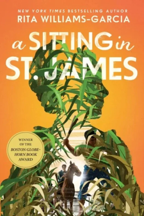 Omslag: A Sitting in St. James