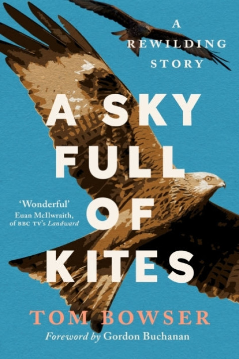 Omslag: A Sky Full of Kites