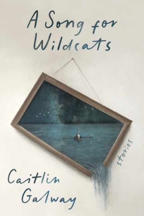 Omslag: A Song for Wildcats
