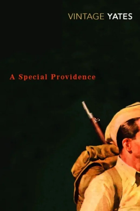 Omslag: A Special Providence