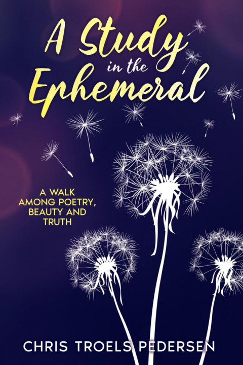 Omslag: A Study in the Ephemeral