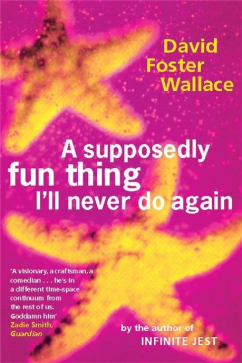 Omslag: A Supposedly Fun Thing I'll Never Do Again
