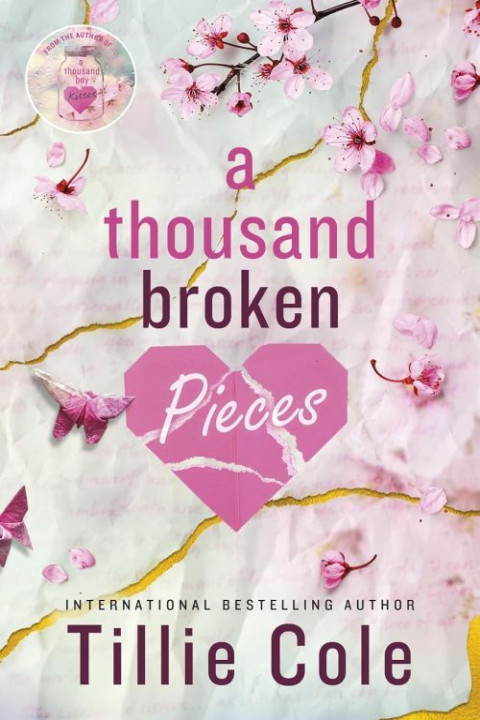 Omslag: A Thousand Broken Pieces