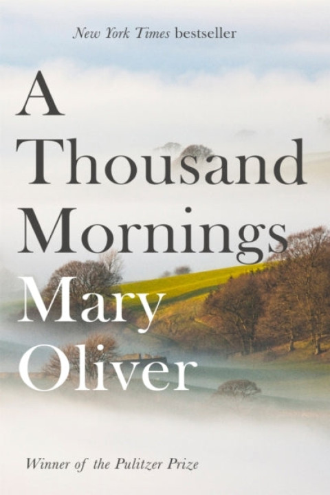 Omslag: A Thousand Mornings