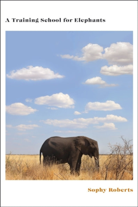 Omslag: A Training School for Elephants
