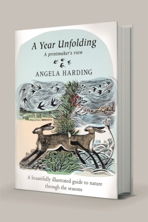 Omslag: A Year Unfolding A Printmaker's View
