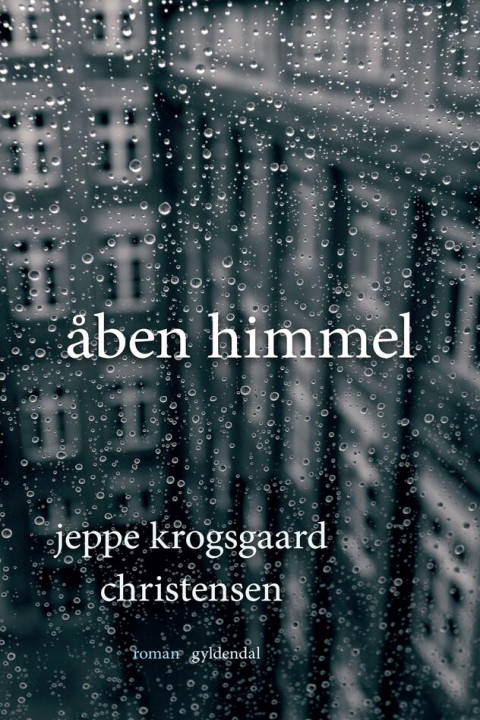 Omslag: Åben himmel