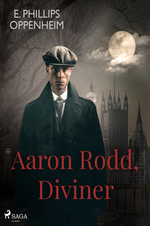 Omslag: Aaron Rodd, Diviner