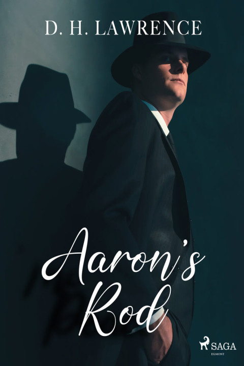 Omslag: Aaron's Rod
