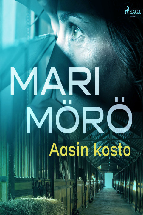 Omslag: Aasin kosto