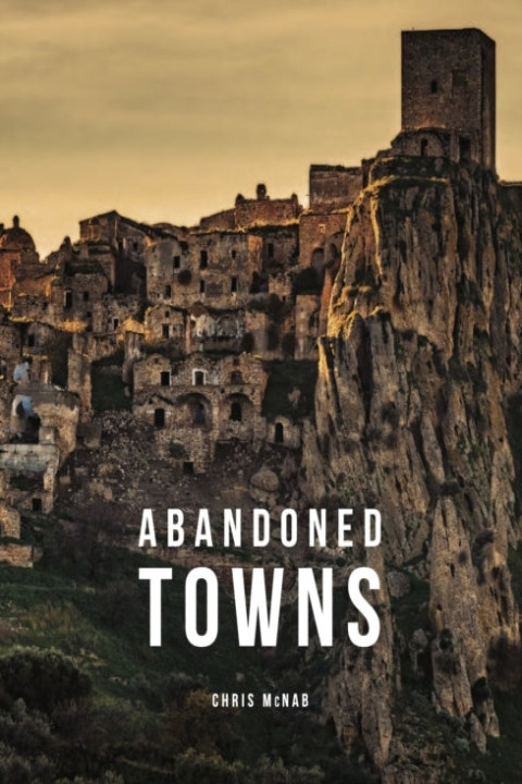 Omslag: Abandoned Towns