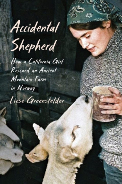 Omslag: Accidental Shepherd
