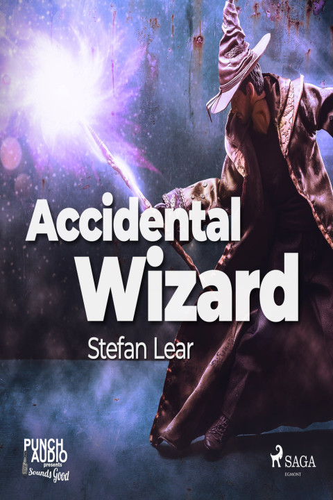 Omslag: Accidental Wizard
