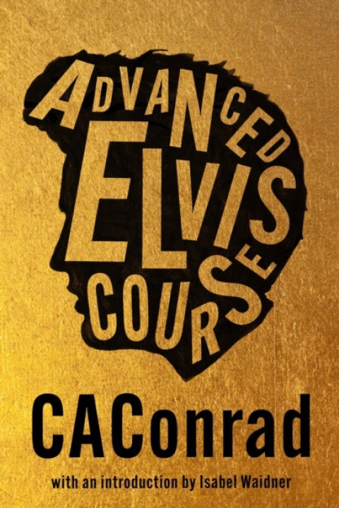Omslag: Advanced Elvis Course