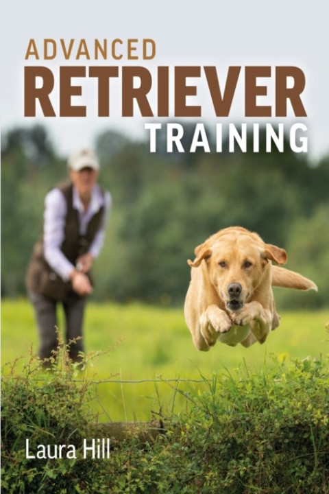 Omslag: Advanced Retriever Training