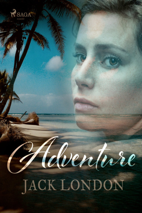 Omslag: Adventure