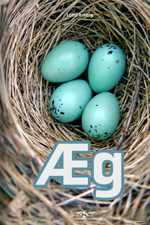 Omslag: Æg