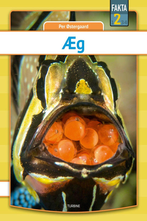 Omslag: Æg