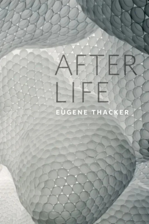 Omslag: After Life