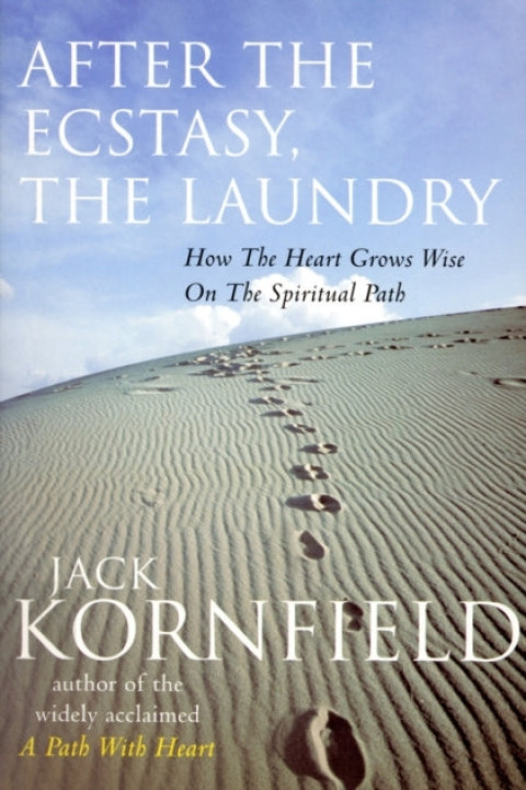 Omslag: After the Ecstasy the Laundry