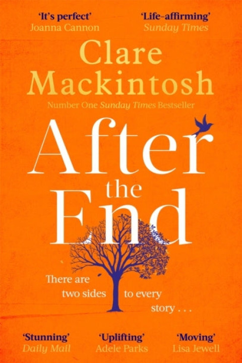 Omslag: After the End