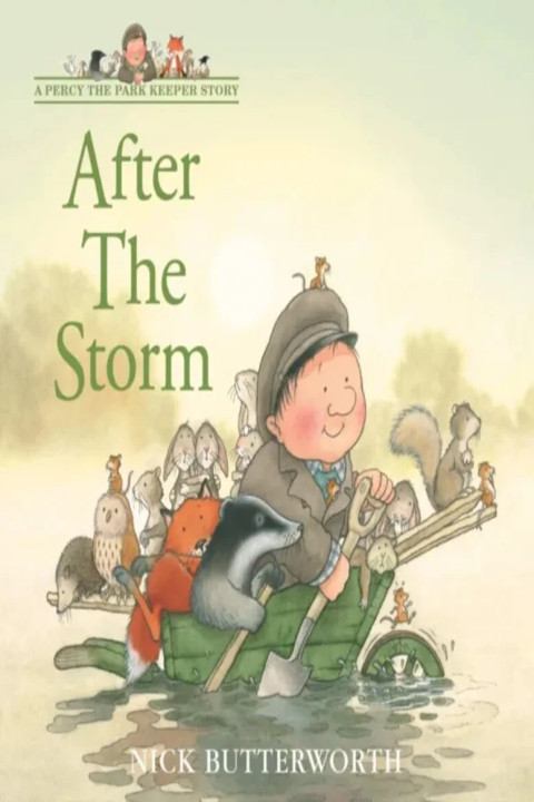 Omslag: After the Storm