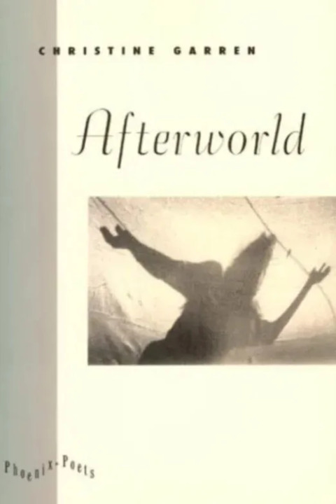Omslag: Afterworld