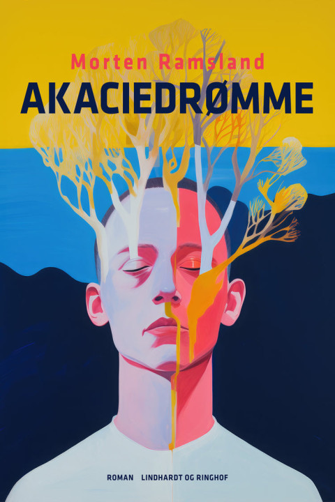 Omslag: Akaciedrømme