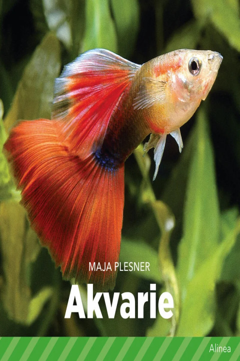 Omslag: Akvarie
