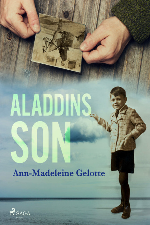 Omslag: Aladdins son
