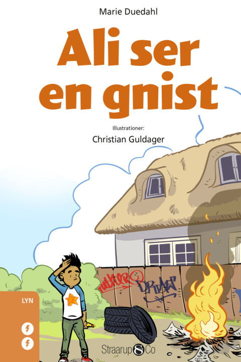 Omslag: Ali ser en gnist