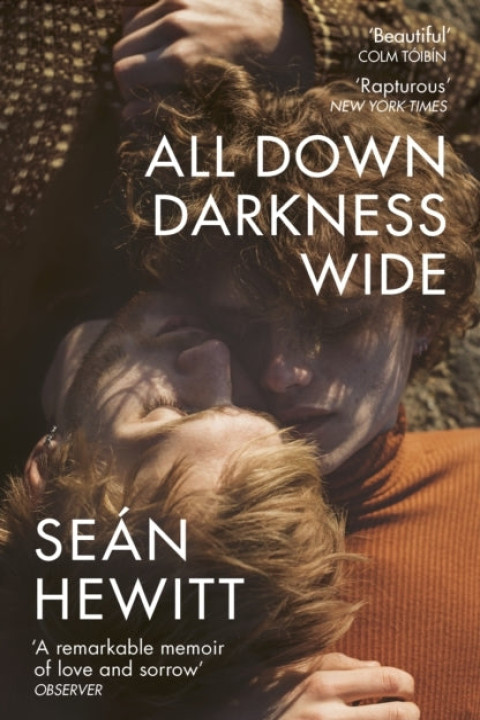 Omslag: All Down Darkness Wide