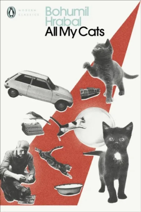 Omslag: All My Cats