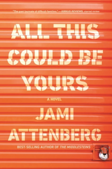 Omslag: All This Could Be Yours